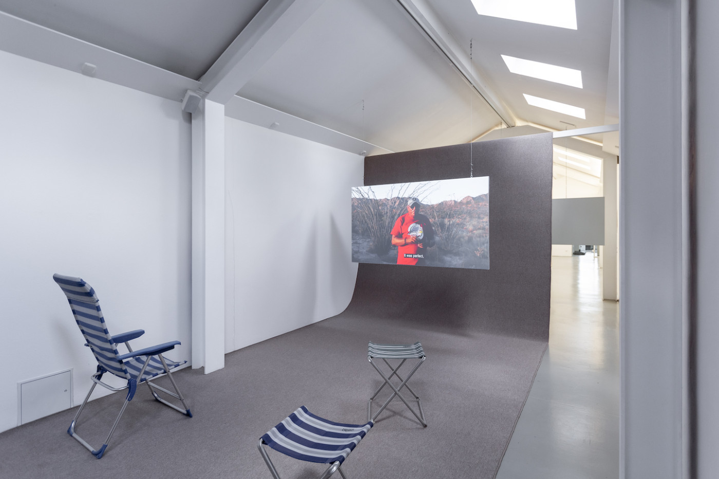 Installationsansicht Cardón Cardinal, Kunstverein Langenhagen, 2021